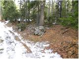 Brezovica - Partizanski dom na Vodiški planini